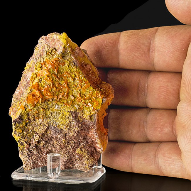 3.3" Orange WULFENITE Crystals to 3mm on Green Mimetite Rowley Mine AZ for sale