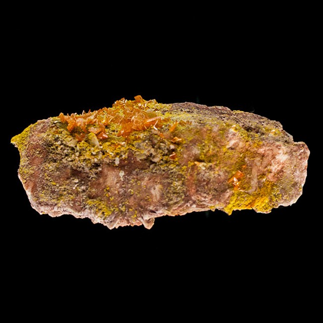 3.3" Orange WULFENITE Crystals to 3mm on Green Mimetite Rowley Mine AZ for sale