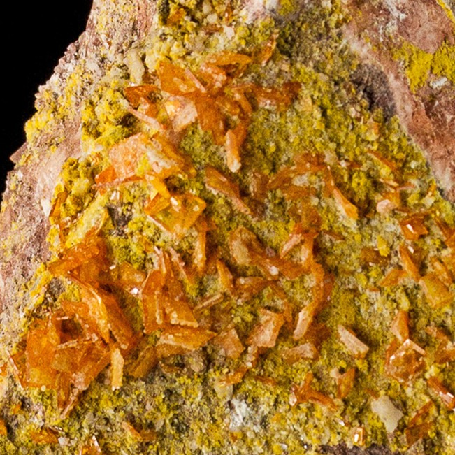 3.3" Orange WULFENITE Crystals to 3mm on Green Mimetite Rowley Mine AZ for sale