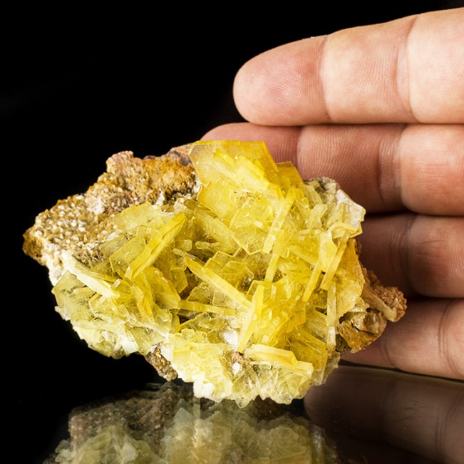3.7" Gemmy Bladed Yellow Windowpane BARITE See-Thru Crystals to.8" Peru for sale