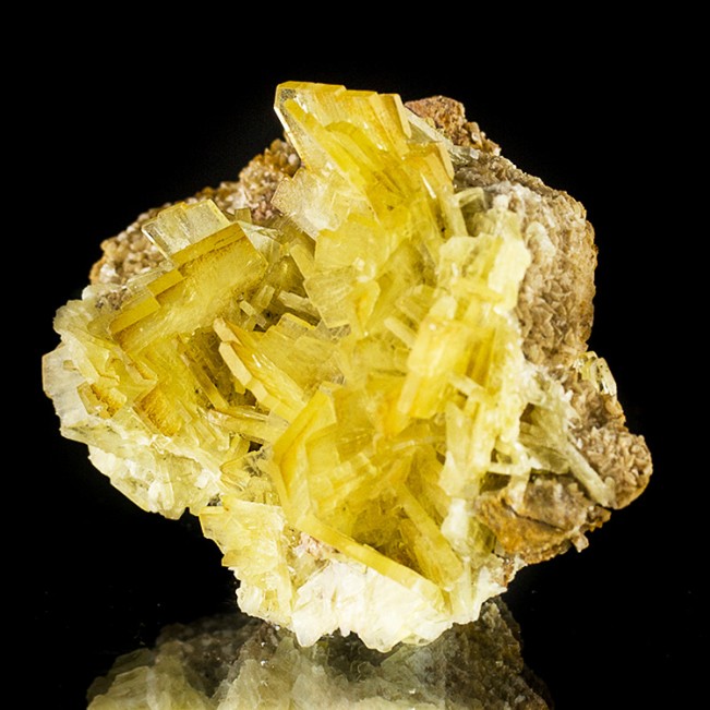3.7" Gemmy Bladed Yellow Windowpane BARITE See-Thru Crystals to.8" Peru for sale