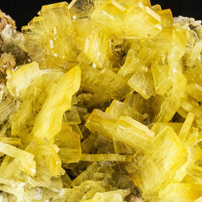 3.7" Gemmy Bladed Yellow Windowpane BARITE See-Thru Crystals to.8" Peru for sale