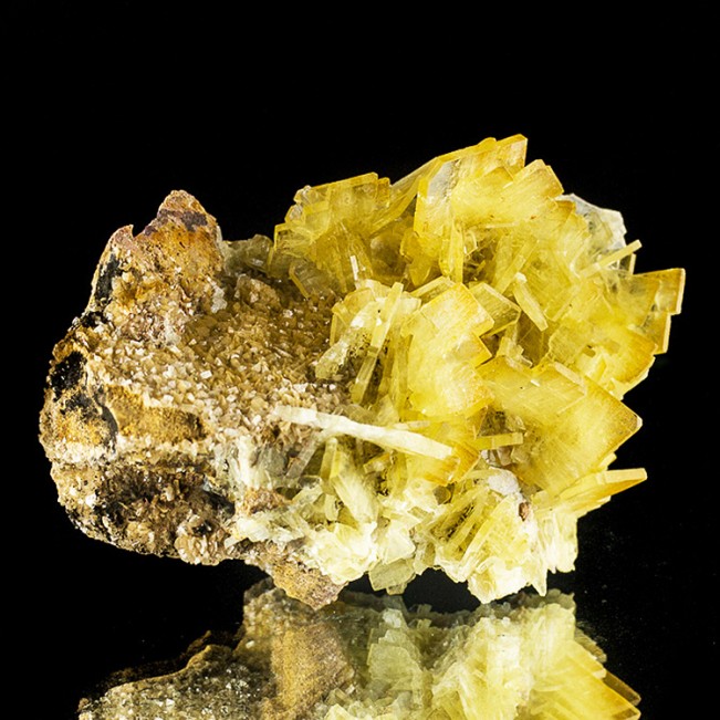 3.7" Gemmy Bladed Yellow Windowpane BARITE See-Thru Crystals to.8" Peru for sale
