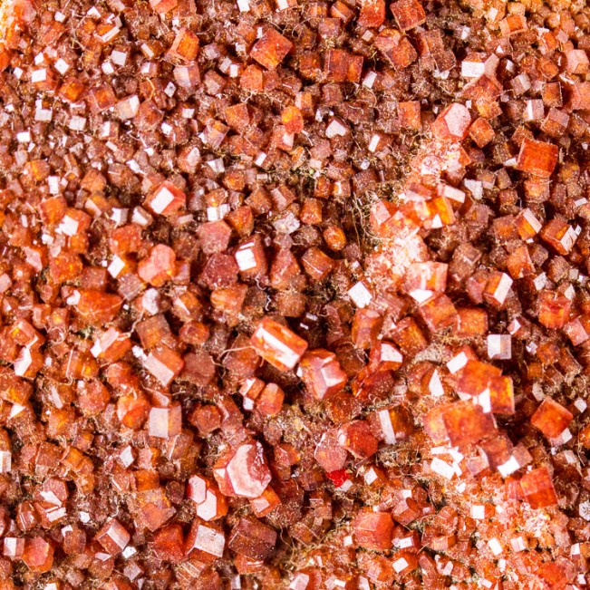 2.8" Bright Red Sparkling VANADANITE Gemmy Crystals Apache Mine Arizona for sale