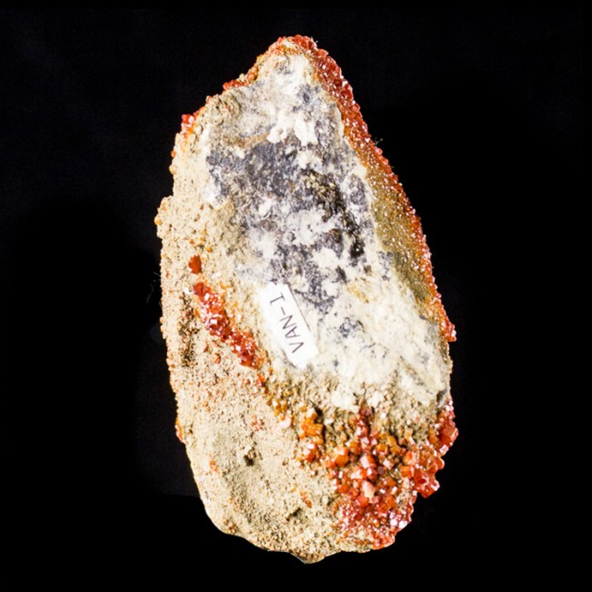 2.8" Bright Red Sparkling VANADANITE Gemmy Crystals Apache Mine Arizona for sale
