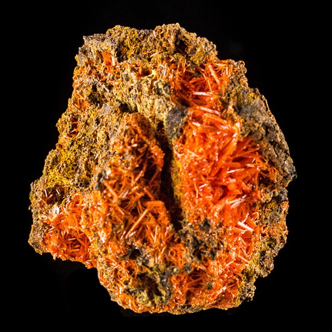 2.8" Adelaide Mine CROCOITE BrightRed Crystals inVugs onMatrix Tasmania for sale