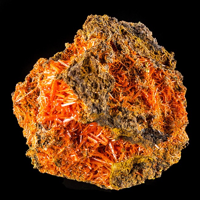2.8" Adelaide Mine CROCOITE BrightRed Crystals inVugs onMatrix Tasmania for sale