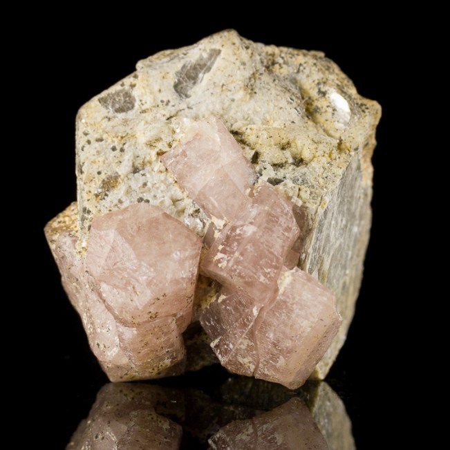 1.8" PINK APATITE on Muscovite 6 RoseColor Terminated Crystals Pakistan for sale