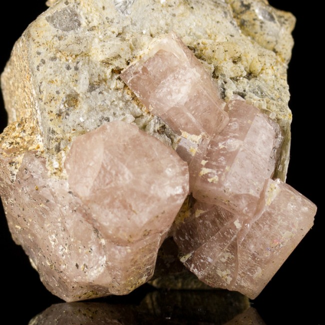 1.8" PINK APATITE on Muscovite 6 RoseColor Terminated Crystals Pakistan for sale