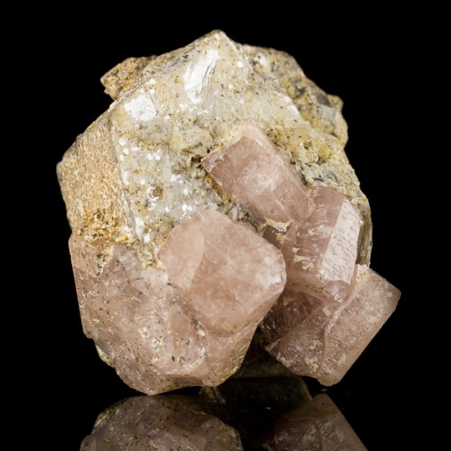 1.8" PINK APATITE on Muscovite 6 RoseColor Terminated Crystals Pakistan for sale