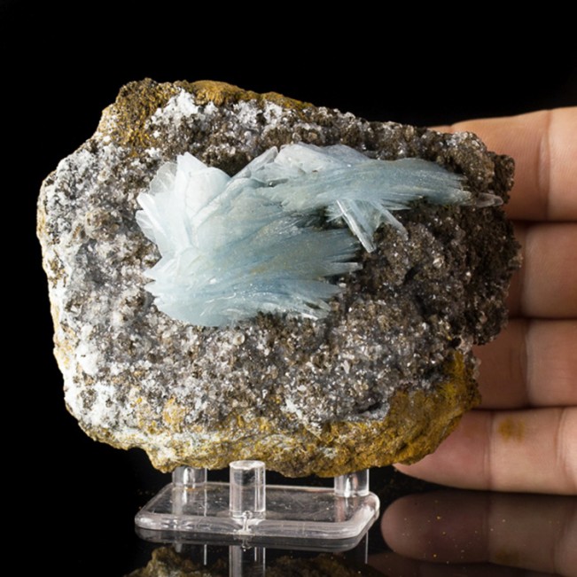 4.3" Turquoise Blue BARITE Sharp Glassy Terminated Crystals Morocco for sale