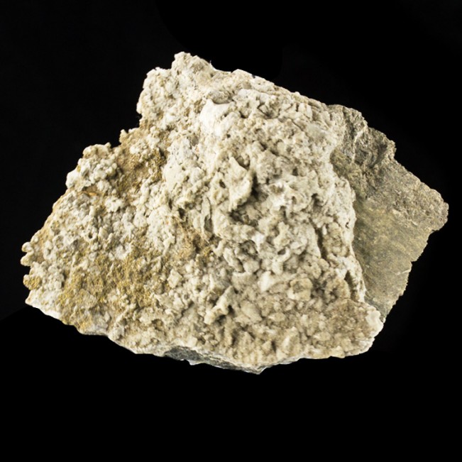 5.7" Golden PYRITE Crystals on White/Gray CALCITE Lane Q Northfield MA for sale