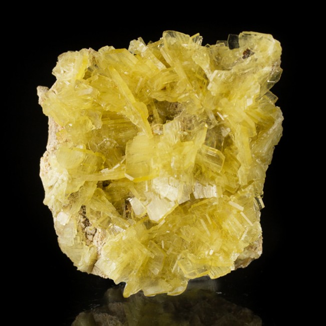 3.2" Gem Yellow Clusters of Thin Bladed BARITE Crystals on Matrix Peru for sale