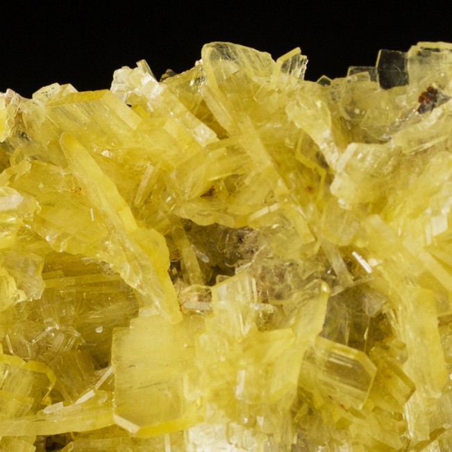 3.2" Gem Yellow Clusters of Thin Bladed BARITE Crystals on Matrix Peru for sale