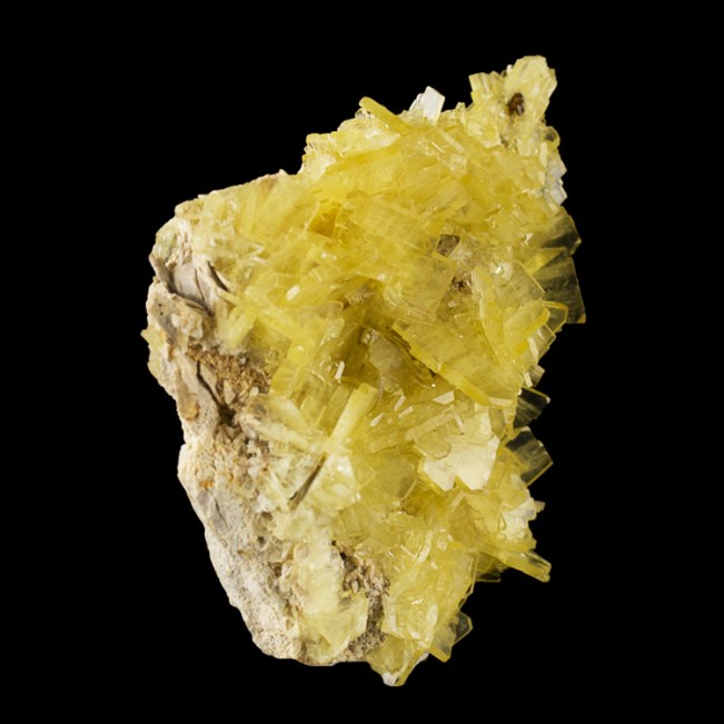 3.2" Gem Yellow Clusters of Thin Bladed BARITE Crystals on Matrix Peru for sale