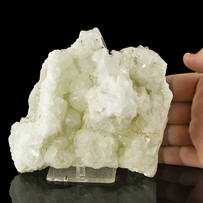 6.9" Shiny Gemmy Sharp DATOLITE Lustrous Crystals Roncari Quarry CT for sale