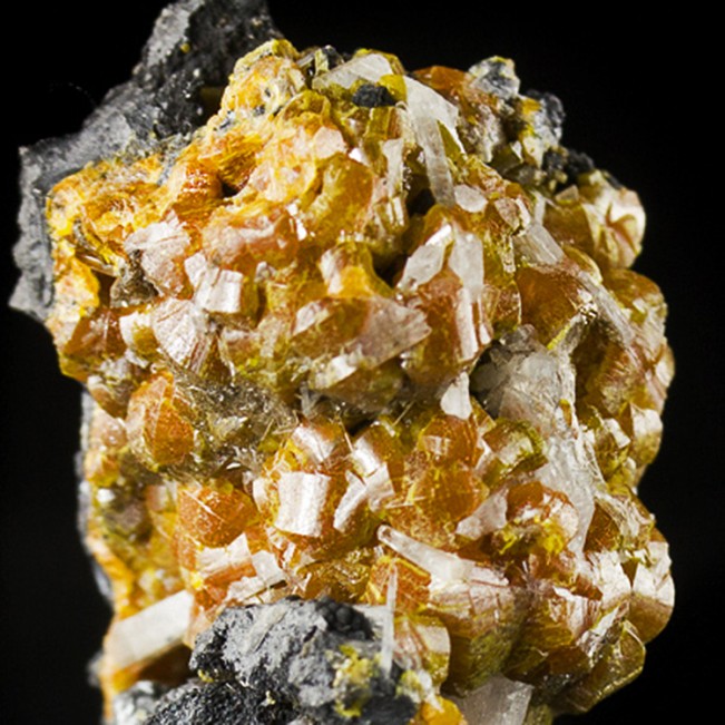1.4" OrangeGold CAMPYLLITE Crystals Var. of Mimetite Dry Gill M England for sale