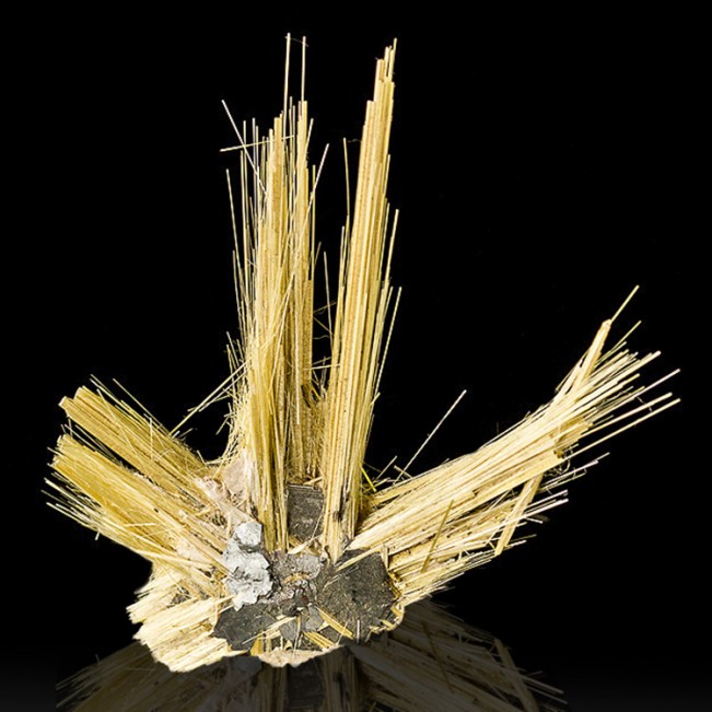 1.3" RUTILE/HEMATITE SUNBURST Long Spiky Metallic Gold Crystals Brazil for sale 