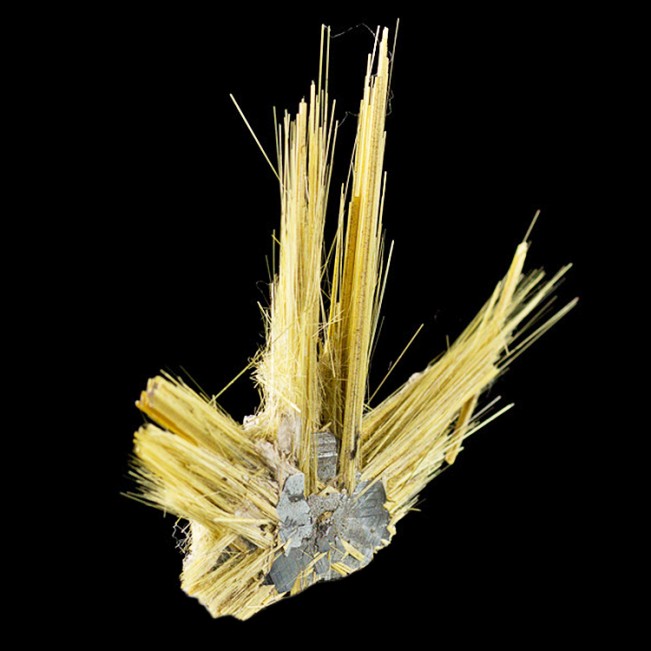 1.3" RUTILE/HEMATITE SUNBURST Long Spiky Metallic Gold Crystals Brazil for sale 