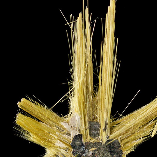 1.3" RUTILE/HEMATITE SUNBURST Long Spiky Metallic Gold Crystals Brazil for sale 