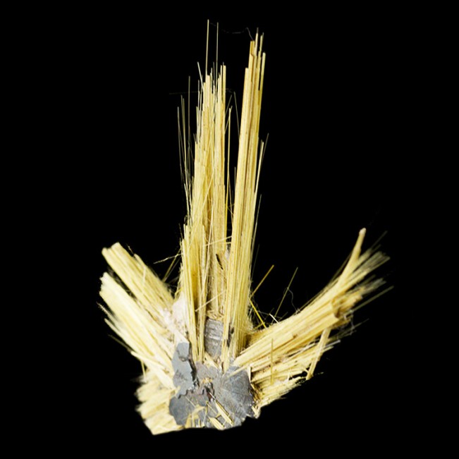 1.3" RUTILE/HEMATITE SUNBURST Long Spiky Metallic Gold Crystals Brazil for sale 