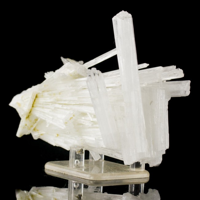 4.4" Stick Up Sprays of Clear SCOLECITE Sharp Radiating Crystals India for sale