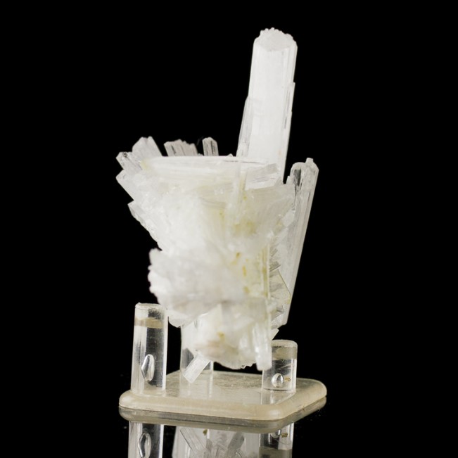 4.4" Stick Up Sprays of Clear SCOLECITE Sharp Radiating Crystals India for sale