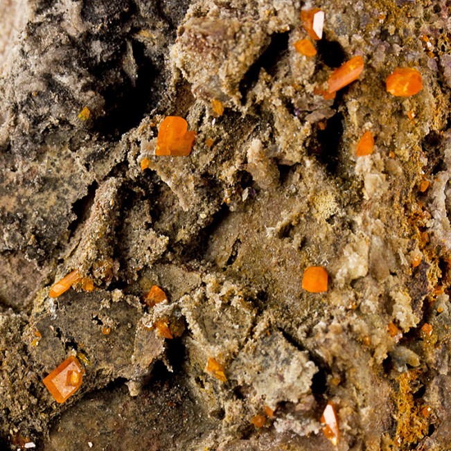 3.6" Over a Dozen Orange WULFENITE CRYSTALS on Matrix Red Cloud Mine AZ for sale