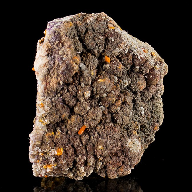 3.6" Over a Dozen Orange WULFENITE CRYSTALS on Matrix Red Cloud Mine AZ for sale