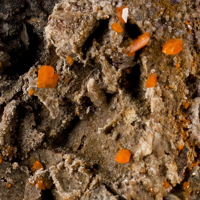 3.6" Over a Dozen Orange WULFENITE CRYSTALS on Matrix Red Cloud Mine AZ for sale