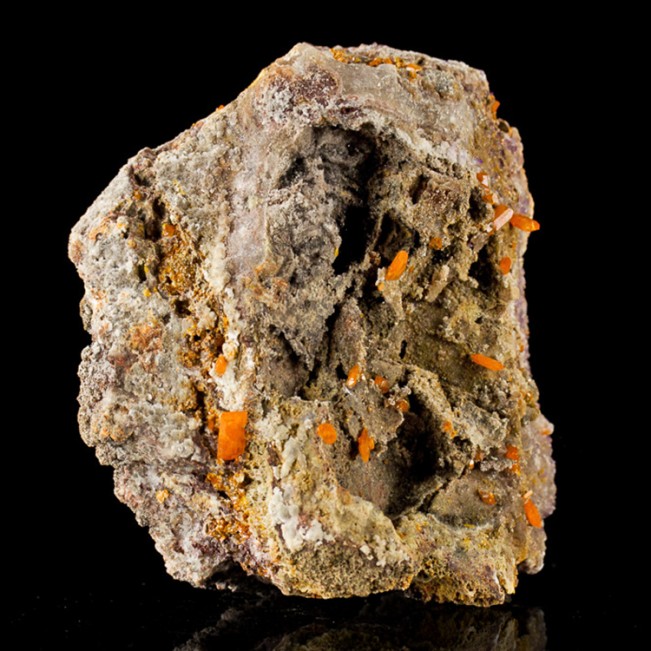 3.6" Over a Dozen Orange WULFENITE CRYSTALS on Matrix Red Cloud Mine AZ for sale