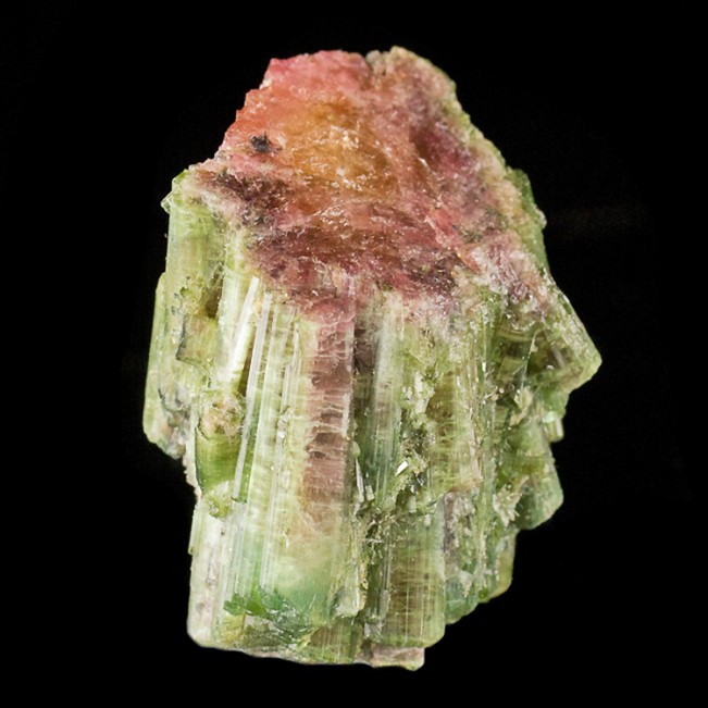 1.6" 265ct Ruby Red & Grass Green WATERMELON TOURMALINE CRYSTAL Brazil for sale