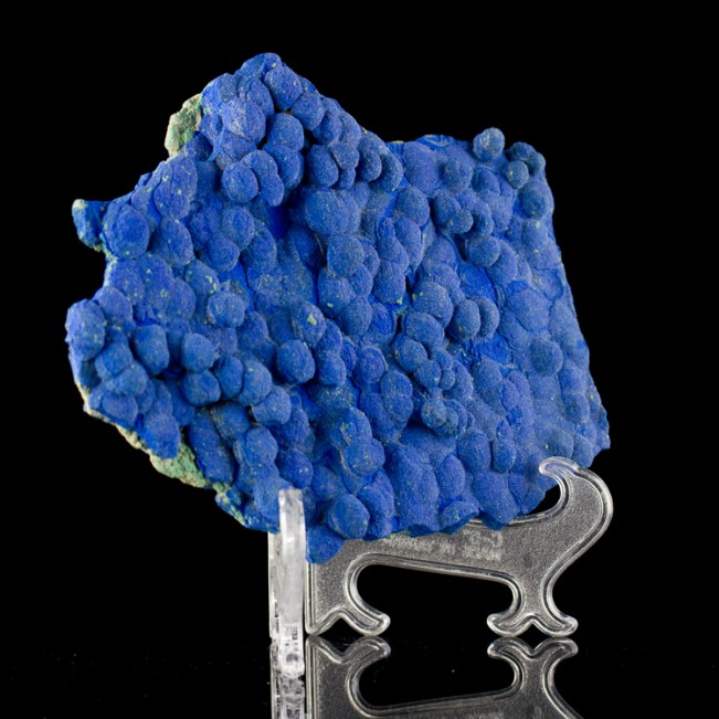 6.2" Royal Blue AZURITE Raised Rounded Crystal Concretions New Mexico for sale