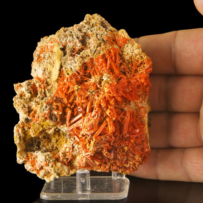 4.1" Screaming RedOrange Square Hollow Terminated CROCOITE .7" Crystals for sale