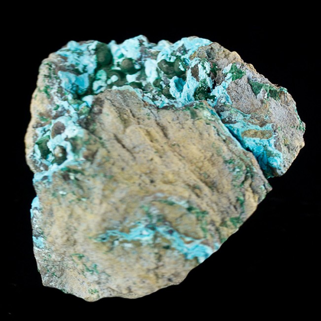 5" Botryoidal Turquoise CHRYSOCOLLA w/Sparkly MALACHITE Crystals Congo for sale