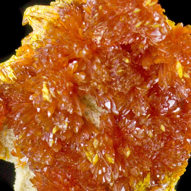 1.8" Glowing RedOrange ORPIMENT Crystals on Matrix Red Hot Color Russia-for sale