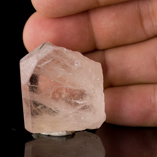 1.4" 171ct Gemmy Pink KUNZITE Crystal w/Blue Tourmaline Afghanistan for sale 