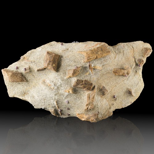 10.3" Brown/Red STAUROLITE Crystals w/ALMANDI...