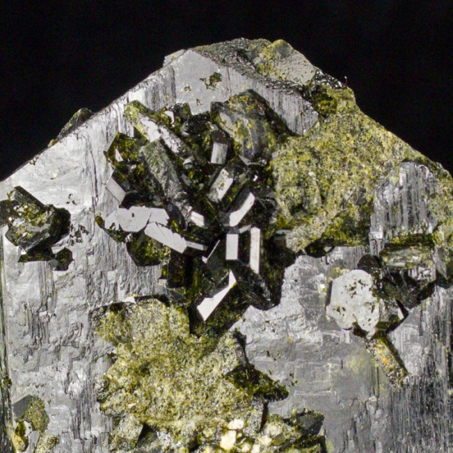 3.4" Shiny Dark Green EPIDOTE Sharp 6-Sided Tabular Crystal Pakistan for sale