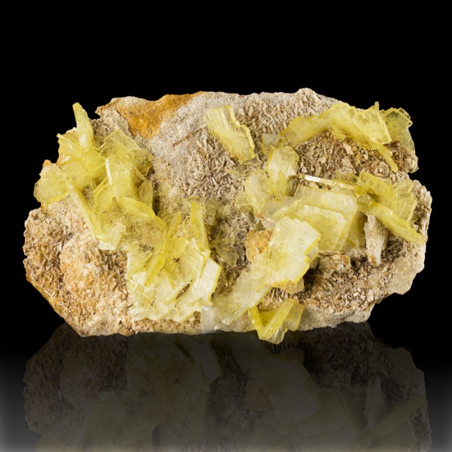 4.1" Gemmy Windowpane Bladed Yellow BARITE Sharp Crystals onMatrix Peru for sale