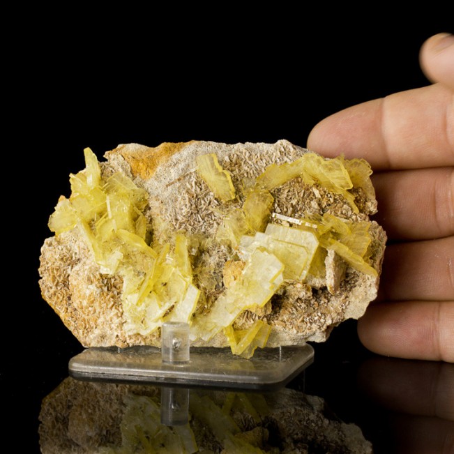 4.1" Gemmy Windowpane Bladed Yellow BARITE Sharp Crystals onMatrix Peru for sale