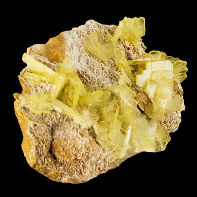 4.1" Gemmy Windowpane Bladed Yellow BARITE Sharp Crystals onMatrix Peru for sale