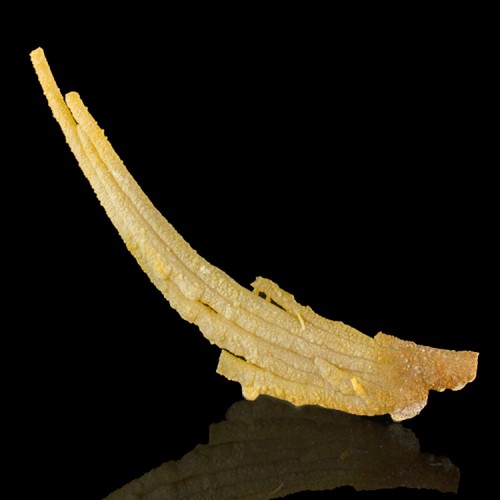 5.1" Long Curved Tan CHALCEDONY STALACTITES M...