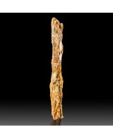 2.9" Long Fruity Bladed ORANGE KYANITE Rare T...