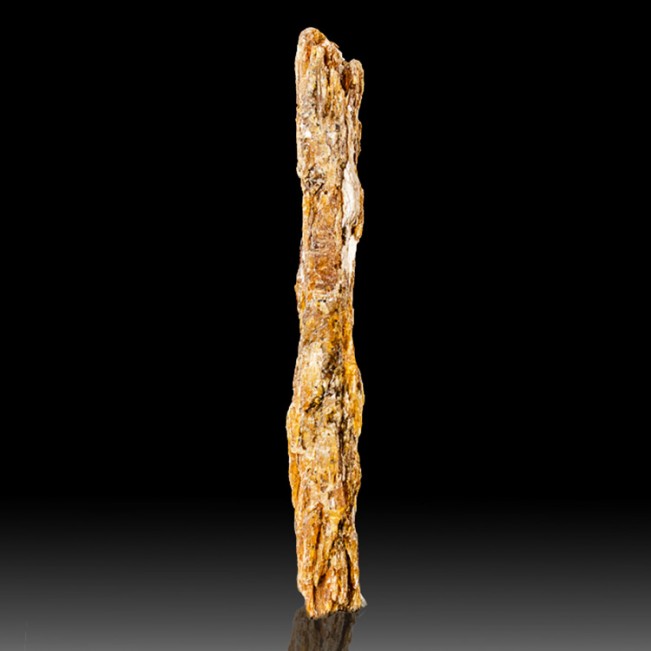 2.9" Long Fruity Bladed ORANGE KYANITE Rare Terminated Crystal Tanzania for sale