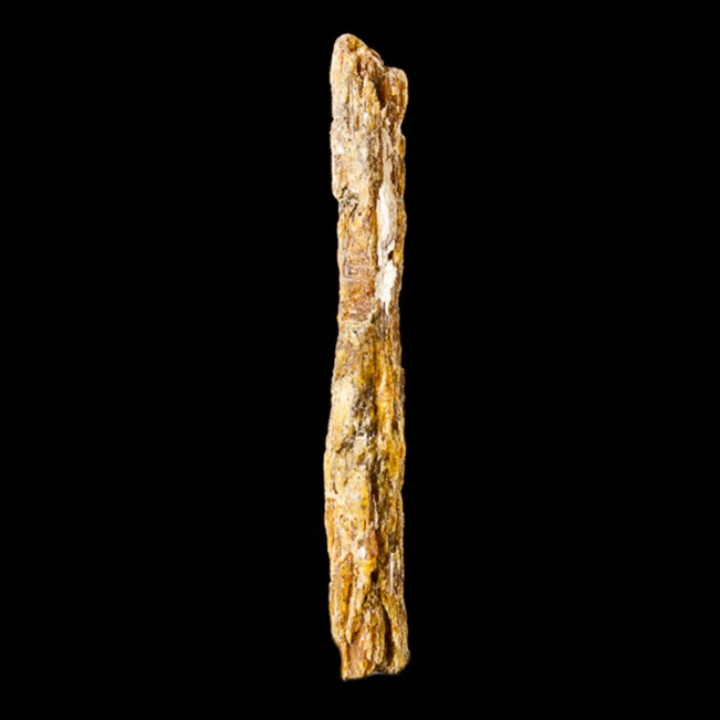 2.9" Long Fruity Bladed ORANGE KYANITE Rare Terminated Crystal Tanzania for sale