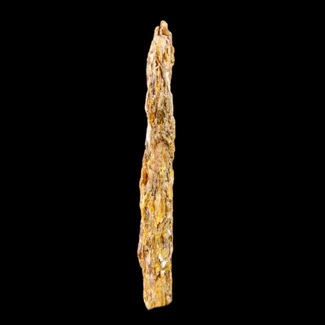 2.9" Long Fruity Bladed ORANGE KYANITE Rare Terminated Crystal Tanzania for sale