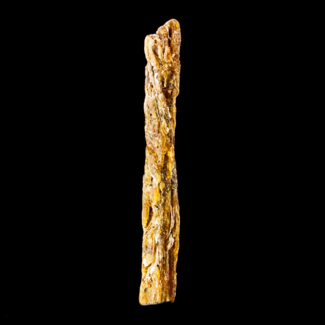 2.9" Long Fruity Bladed ORANGE KYANITE Rare Terminated Crystal Tanzania for sale