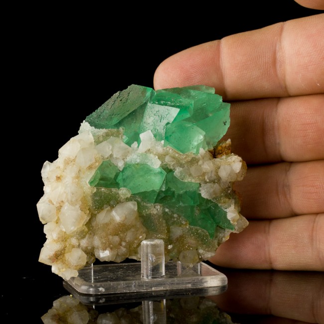 3.3" Sharp Jello Green Octahedral FLUORITE Crystals on Quartz So.Africa for sale