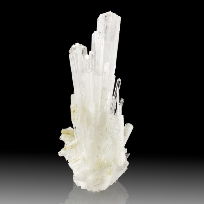 5.2" Stick Up Spray of Clear SCOLECITE Sharp Radiating Crystals India for sale